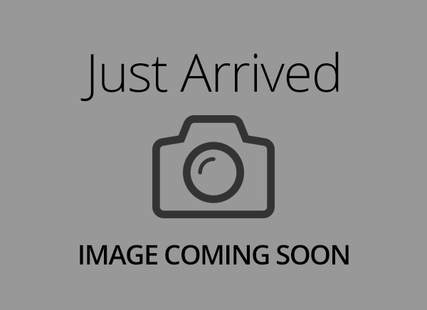 Cavapoo – 21303