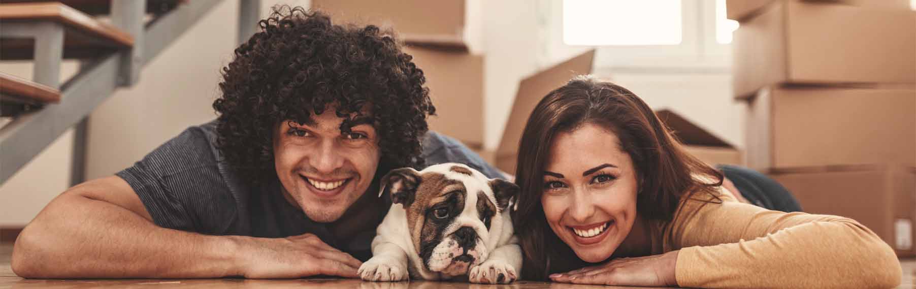 Pet Store Banner