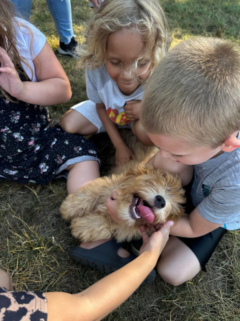 kids playing with Doodle