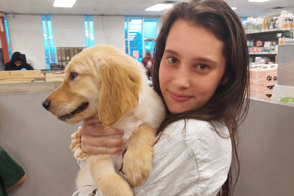young girl holding a golden retriever puppy