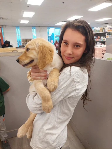 A girl holding a golden-colored puppy in the store