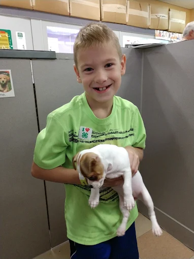 A boy holding a white and brown puppy